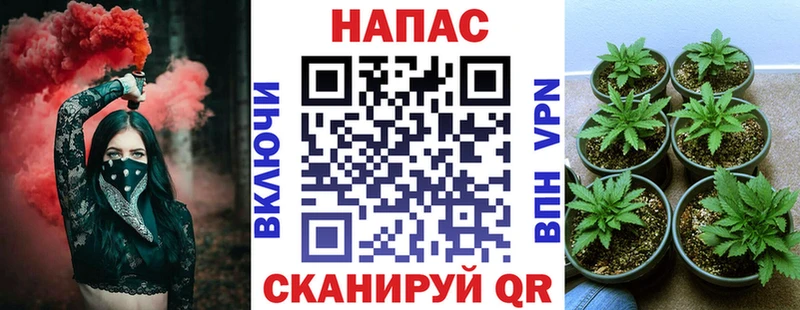 Марихуана Bruce Banner  закладки  Дигора 
